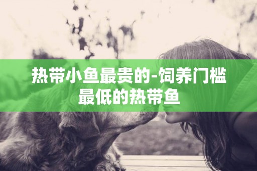 熱帶小魚最貴的-飼養門檻最低的熱帶魚