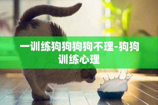 一訓練狗狗狗狗不理-狗狗訓練心理