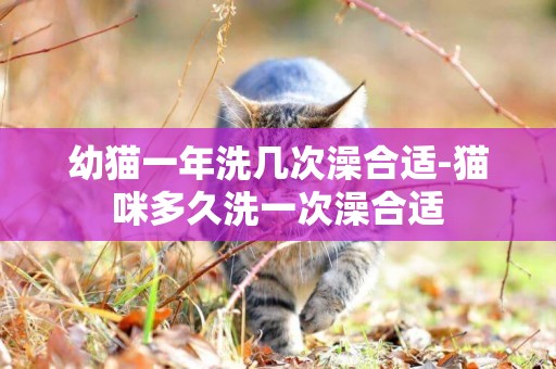 幼貓一年洗幾次澡合適-貓咪多久洗一次澡合適