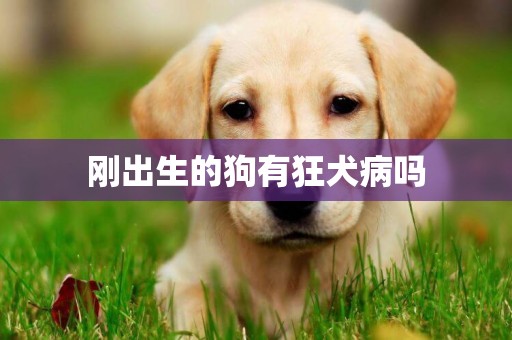 剛出生的狗有狂犬病嗎