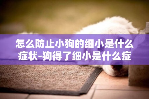 怎么防止小狗的細小是什么癥狀-狗得了細小是什么癥狀