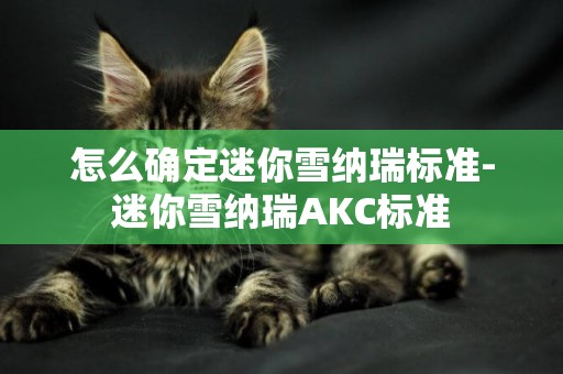 怎么確定迷你雪納瑞標準-迷你雪納瑞AKC標準