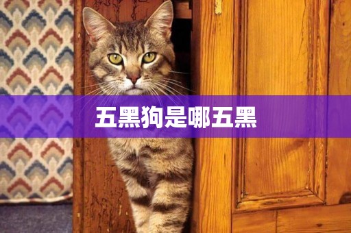五黑狗是哪五黑