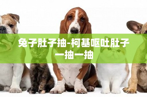 兔子肚子抽-柯基嘔吐肚子一抽一抽
