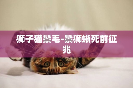 獅子貓鬃毛-鬃獅蜥死前征兆
