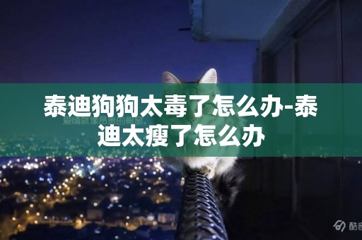 泰迪狗狗太毒了怎么辦-泰迪太瘦了怎么辦
