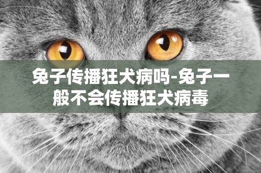 兔子傳播狂犬病嗎-兔子一般不會傳播狂犬病毒