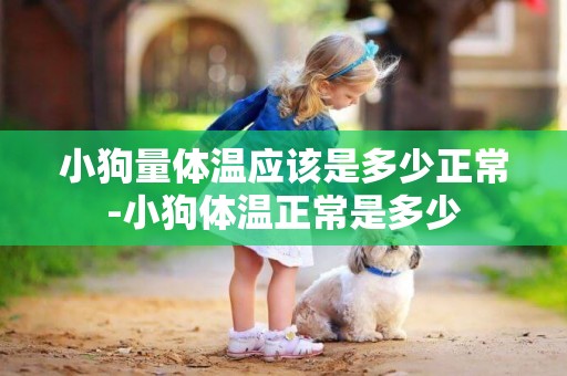 小狗量體溫應該是多少正常-小狗體溫正常是多少