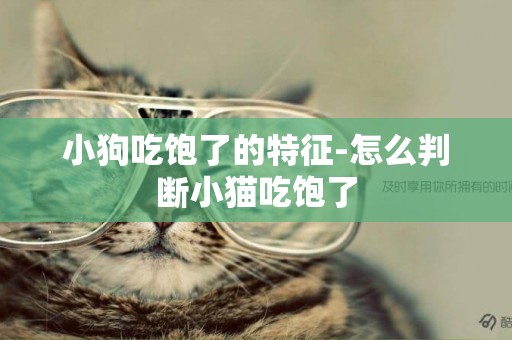 小狗吃飽了的特征-怎么判斷小貓吃飽了
