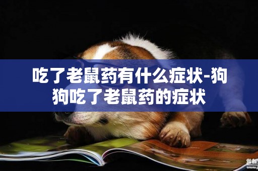 吃了老鼠藥有什么癥狀-狗狗吃了老鼠藥的癥狀