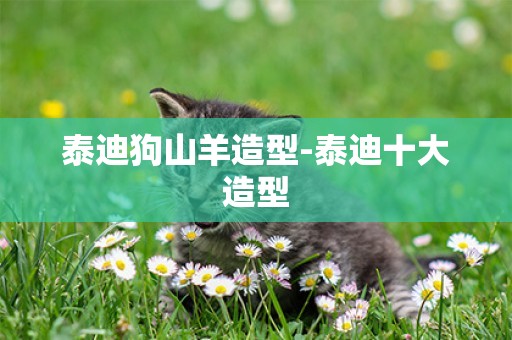 泰迪狗山羊造型-泰迪十大造型