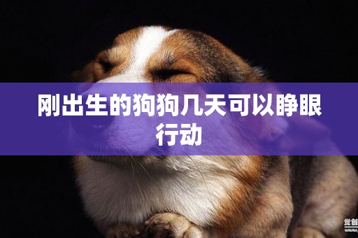 剛出生的狗狗幾天可以睜眼行動