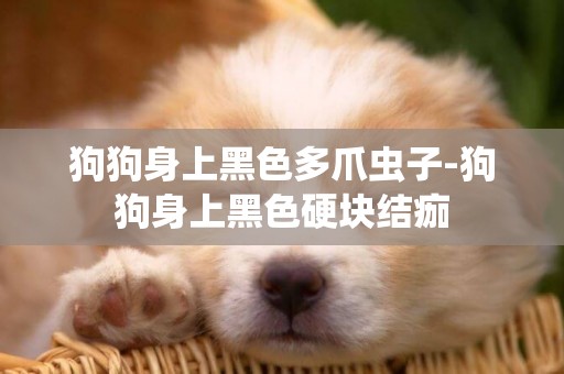 狗狗身上黑色多爪蟲子-狗狗身上黑色硬塊結痂