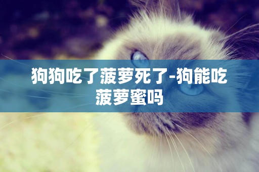 狗狗吃了菠蘿死了-狗能吃菠蘿蜜嗎