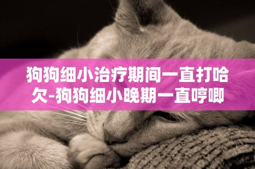 狗狗細小治療期間一直打哈欠-狗狗細小晚期一直哼唧