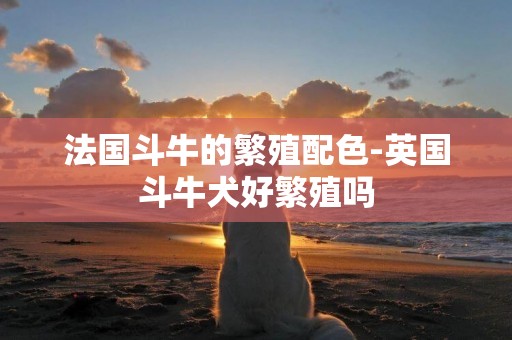 法國斗牛的繁殖配色-英國斗牛犬好繁殖嗎