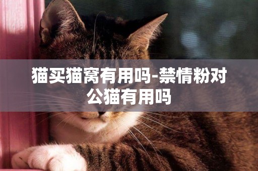 貓買貓窩有用嗎-禁情粉對公貓有用嗎