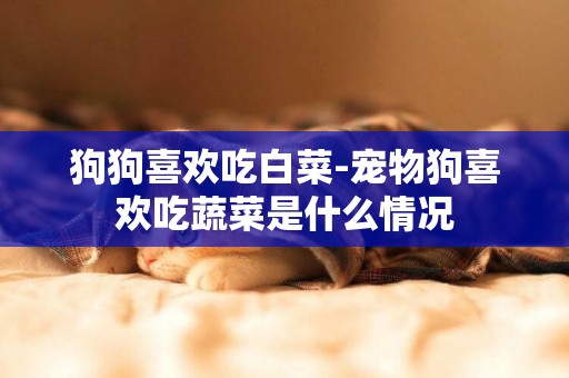 狗狗喜歡吃白菜-寵物狗喜歡吃蔬菜是什么情況