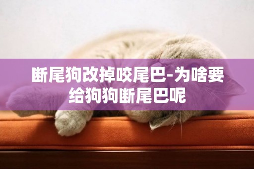 斷尾狗改掉咬尾巴-為啥要給狗狗斷尾巴呢