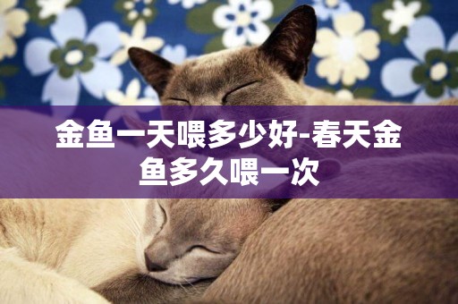 金魚一天喂多少好-春天金魚多久喂一次