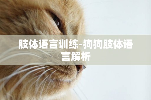肢體語言訓練-狗狗肢體語言解析