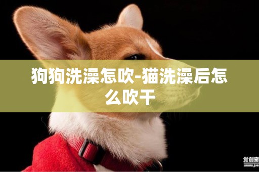 狗狗洗澡怎吹-貓洗澡后怎么吹干