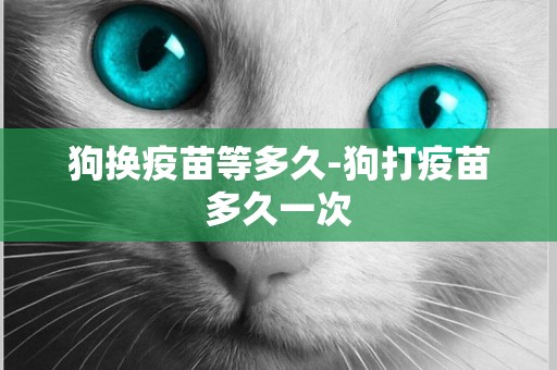 狗換疫苗等多久-狗打疫苗多久一次