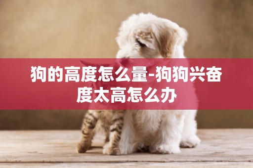 狗的高度怎么量-狗狗興奮度太高怎么辦