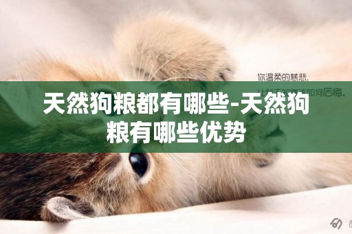 天然狗糧都有哪些-天然狗糧有哪些優勢