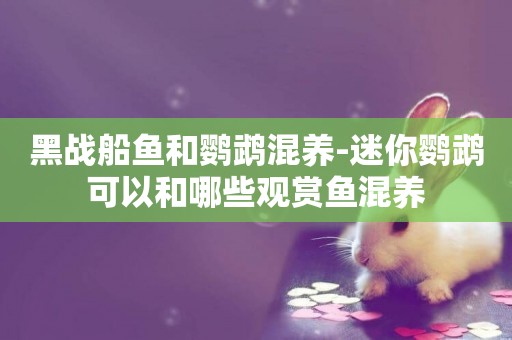 黑戰船魚和鸚鵡混養-迷你鸚鵡可以和哪些觀賞魚混養