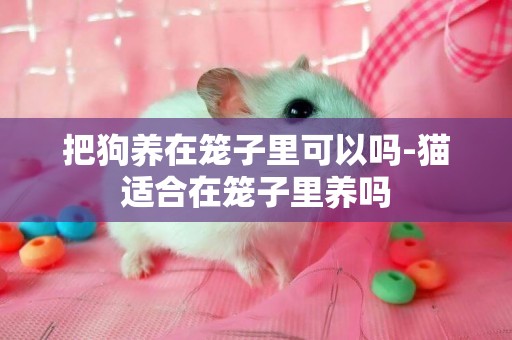 把狗養在籠子里可以嗎-貓適合在籠子里養嗎
