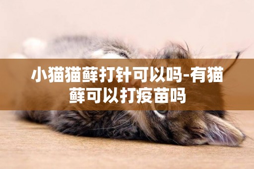 小貓貓蘚打針可以嗎-有貓蘚可以打疫苗嗎