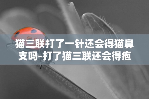 貓三聯打了一針還會得貓鼻支嗎-打了貓三聯還會得皰疹病毒嗎