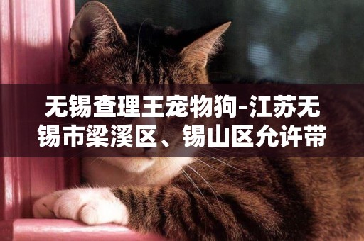 無錫查理王寵物狗-江蘇無錫市梁溪區、錫山區允許帶狗帶貓帶寵物的景點