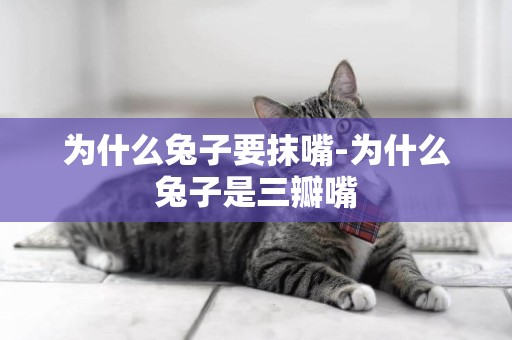 為什么兔子要抹嘴-為什么兔子是三瓣嘴