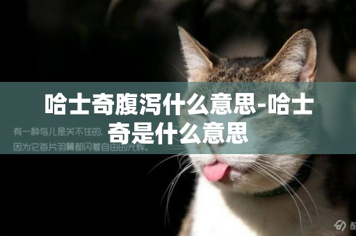 哈士奇腹瀉什么意思-哈士奇是什么意思