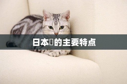 日本狆的主要特點