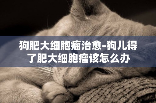 狗肥大細胞瘤治愈-狗兒得了肥大細胞瘤該怎么辦