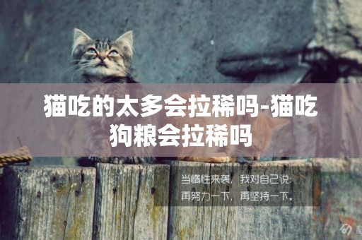 貓吃的太多會拉稀嗎-貓吃狗糧會拉稀嗎