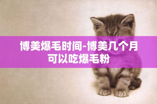 博美爆毛時間-博美幾個月可以吃爆毛粉