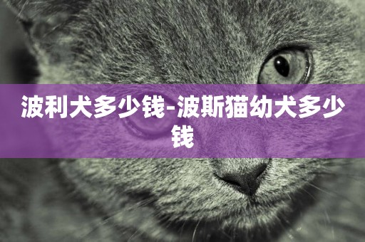波利犬多少錢-波斯貓幼犬多少錢