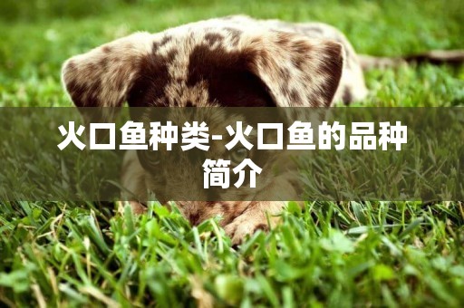 火口魚種類-火口魚的品種簡介