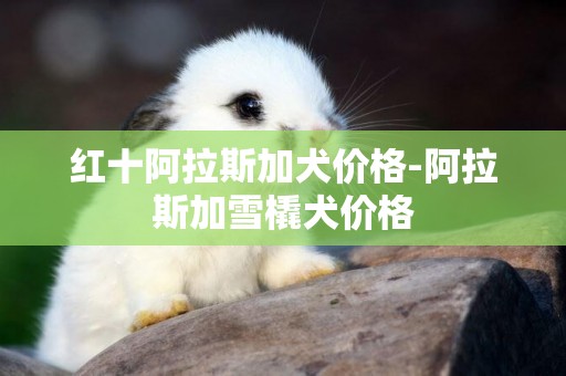 紅十阿拉斯加犬價格-阿拉斯加雪橇犬價格