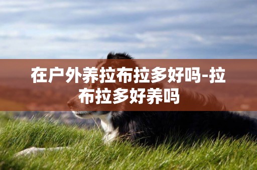 在戶外養拉布拉多好嗎-拉布拉多好養嗎