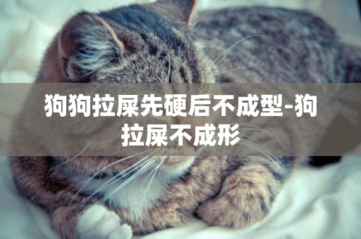 狗狗拉屎先硬后不成型-狗拉屎不成形