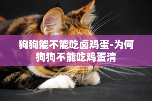 狗狗能不能吃鹵雞蛋-為何狗狗不能吃雞蛋清