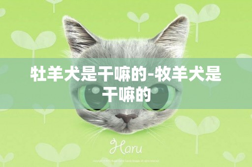 牡羊犬是干嘛的-牧羊犬是干嘛的