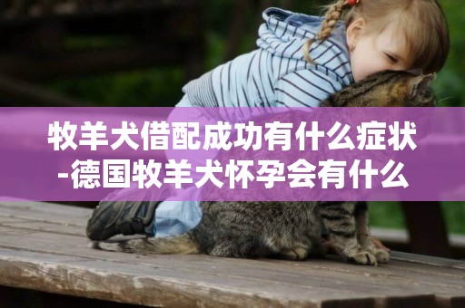 牧羊犬借配成功有什么癥狀-德國牧羊犬懷孕會有什么癥狀