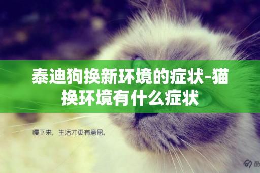泰迪狗換新環境的癥狀-貓換環境有什么癥狀