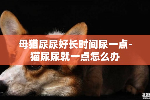 母貓尿尿好長時間尿一點-貓尿尿就一點怎么辦